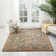 Tayler Wool Oriental Indoor Rug