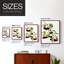 Watercolor Cherries, reproduction encadrée - bois massif-93066157-93066166
