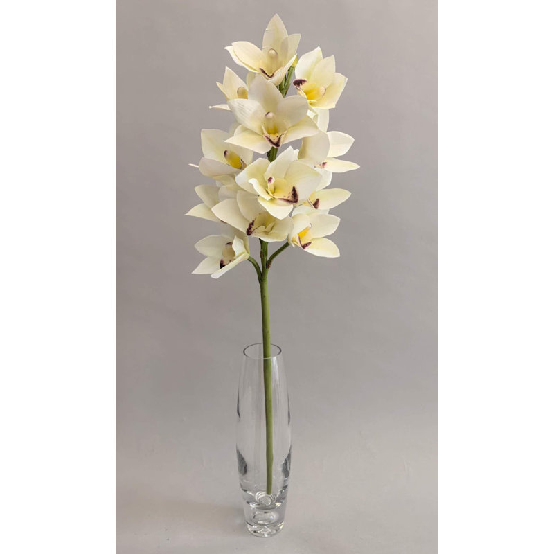 CYMBIDIUM BLOOMS PU 12'', White