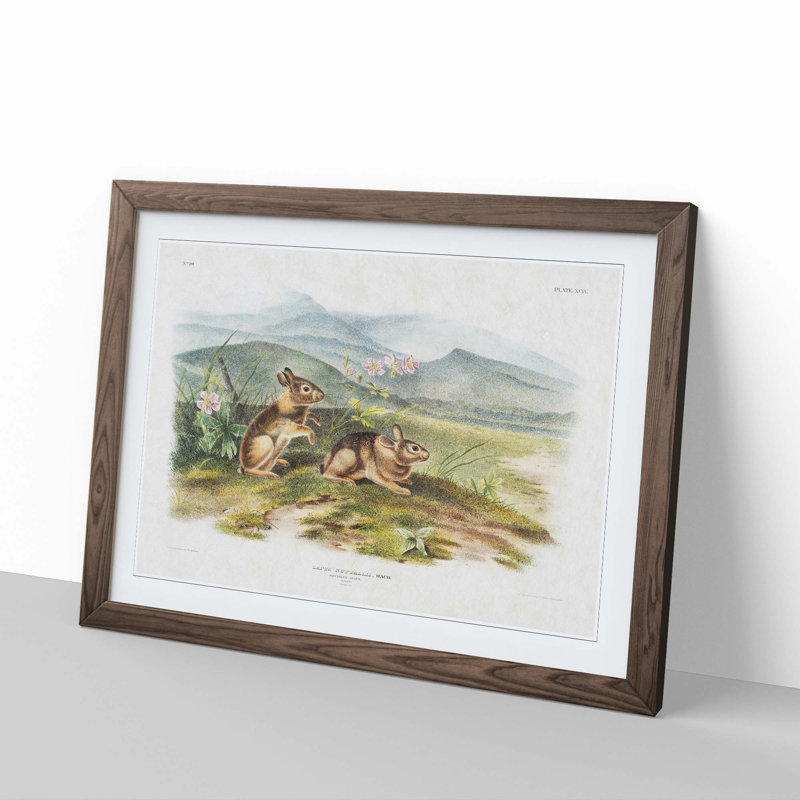 Two Hares by J.W. Audubon - Framed Print, 48cm H x 65cm W x 2cm D, Walnut Framed