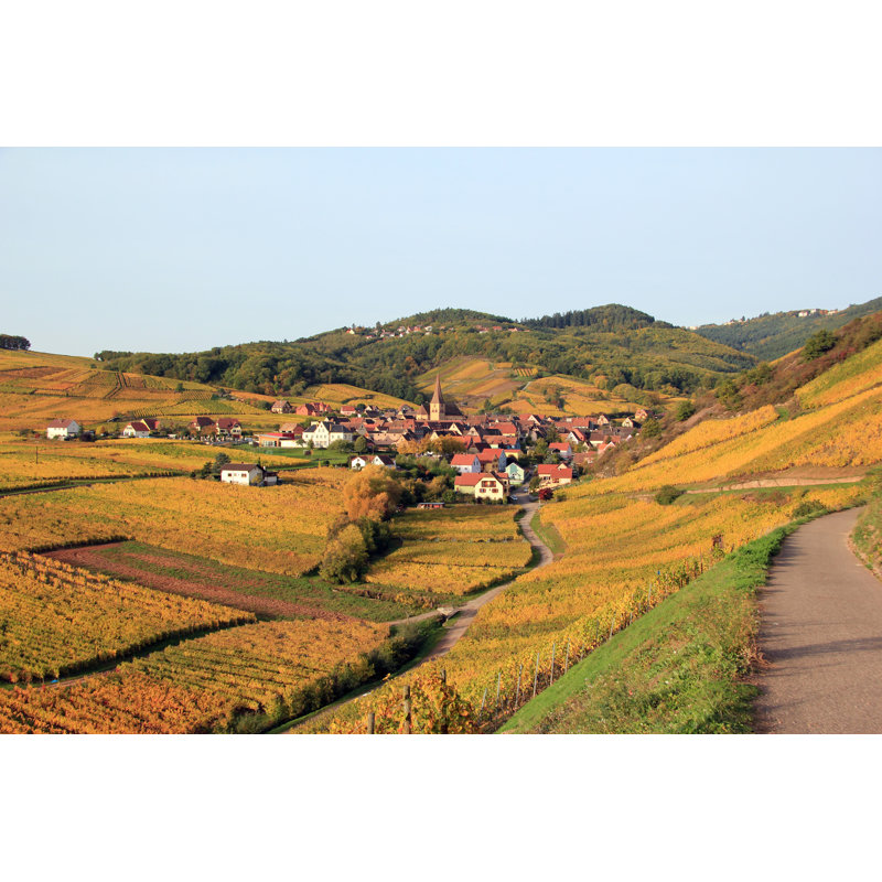 Ramet Alsatian Vineyard - Wrapped Canvas Print, 81cm H x 122cm W x 3.8cm D