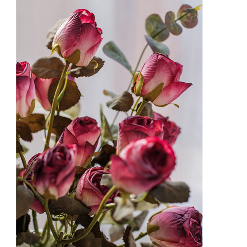 Tige de rose sec, Rose