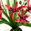 Plastic, Polyethylene (PE) Artificial Arrangement in Pot