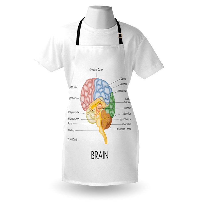 Tablier d'anatomie East Urban Home