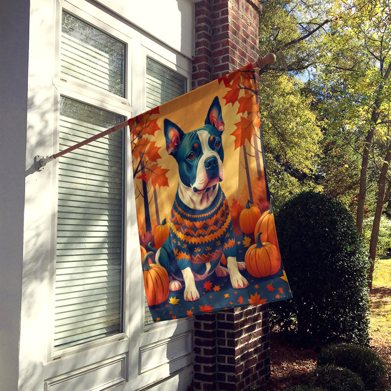 Double Sided 40'' H x 28'' W Polyester House Flag