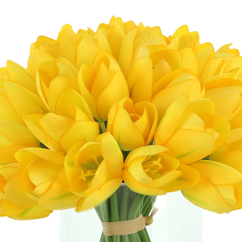 White Tulips Arranged in Glass Vase, Yellow