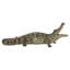 Crocodile avec la gueule ouverte