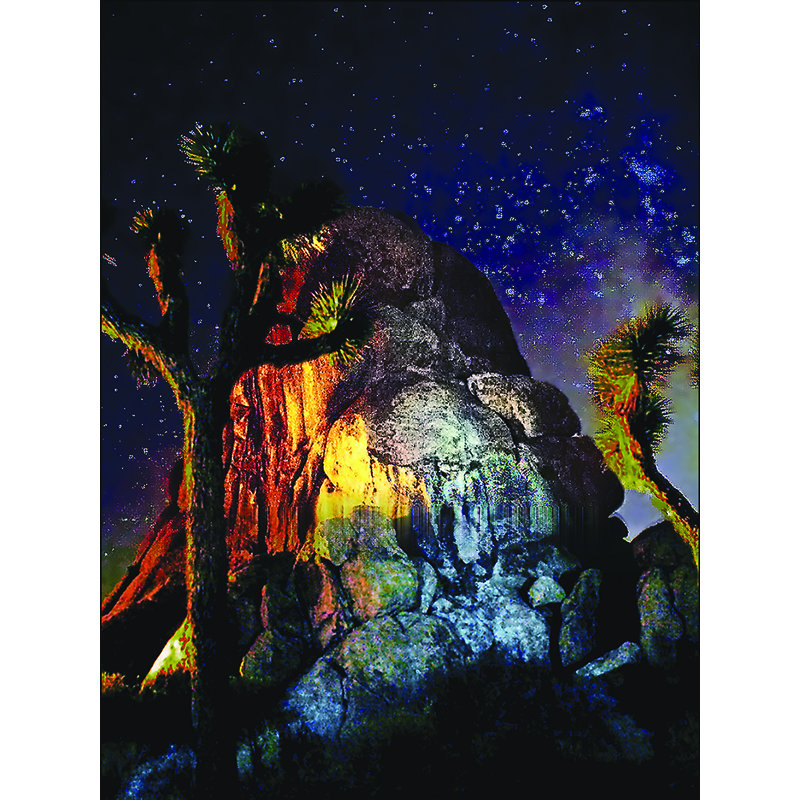 Joshua Tree Night Sky par Joseph Elliot - reproduction de photo, H 24 po x l 18 po x P 0,15 po, Papier, Pas de tapis