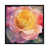 Black Framed Canvas is unavailable