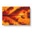Leaf In The Autumn - Wrapped Canvas-56633210