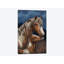 « apache », impression sur toile-34981089-72421809-72395008