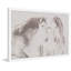 Parvez Taj - Single Picture Frame Print-19701498