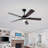 52 Inch Solid Wood Blade Ceiling Fan with LED Light and Remote Control for Energy Efficiency