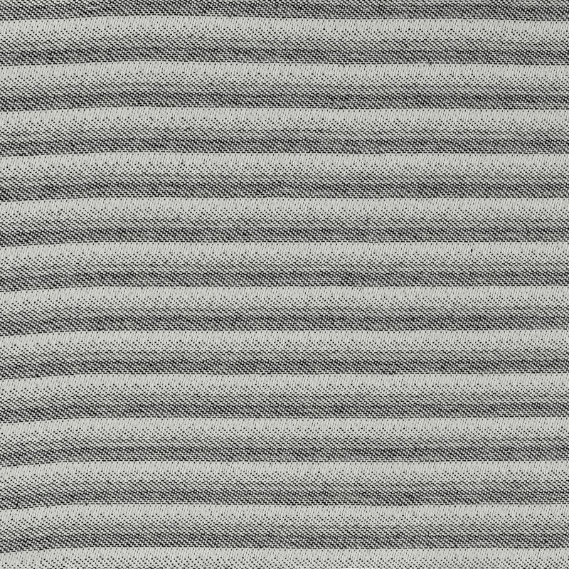 Gris anthracite Baneberry