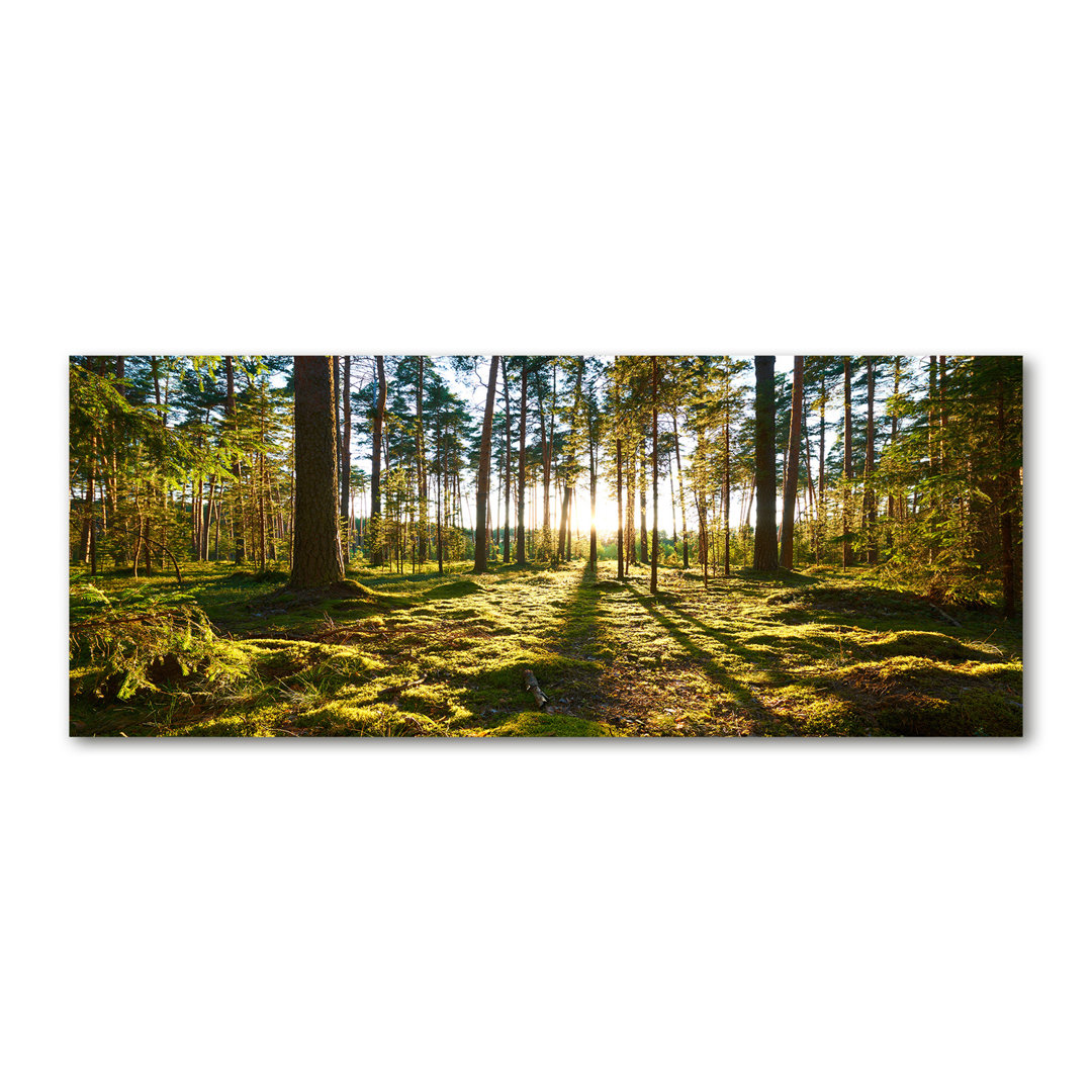 A Pine Forest - Kunstdrucke auf Leinwand - Wrapped Canvas