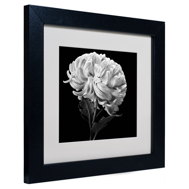 " Mum II " by Michael Harrison, 11" H x 11" W x 0.5" D, Black Framed, White