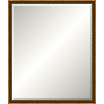 Antique Old World Mirror