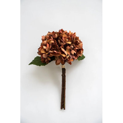 Ensemble d'hortensia brun 14 po