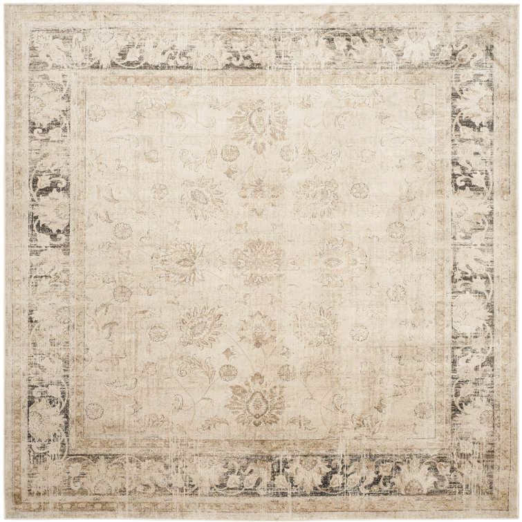 Dursunbey Oriental Chenille Area Rug