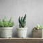 City Romance Collection Distressed Concrete Wallpaper Roll-1740920583