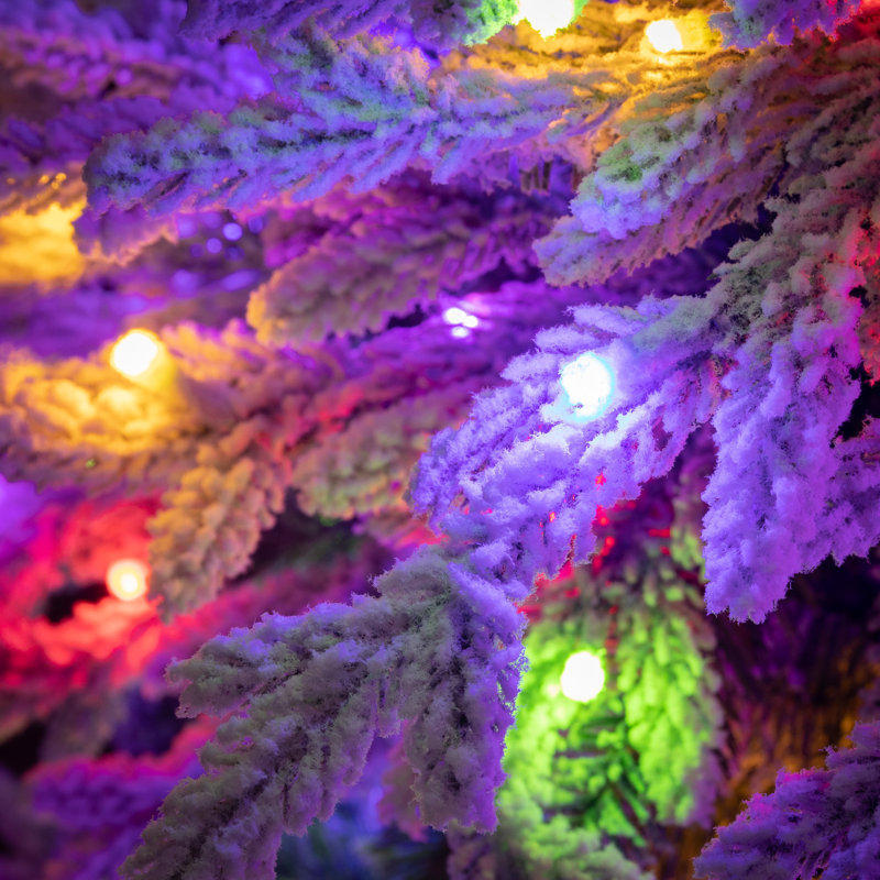 7.6' Lighted Pine Christmas Tree with Realistic Needles