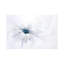 Serenity by Jacky Parker - Floater Frame Print on Canvas-1771568975-1771568972