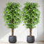 Ficus artificiel de 1,80 m, faux ficus avec pot noir, arbre réaliste pour la décoration intérieure de la maison, du bureau et de l'entrée.-1533884010-1534033677