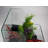 1 Gallon AquaTerrium™ Aquarium Tank
