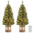 Jaspert 4' Lighted Christmas Tree