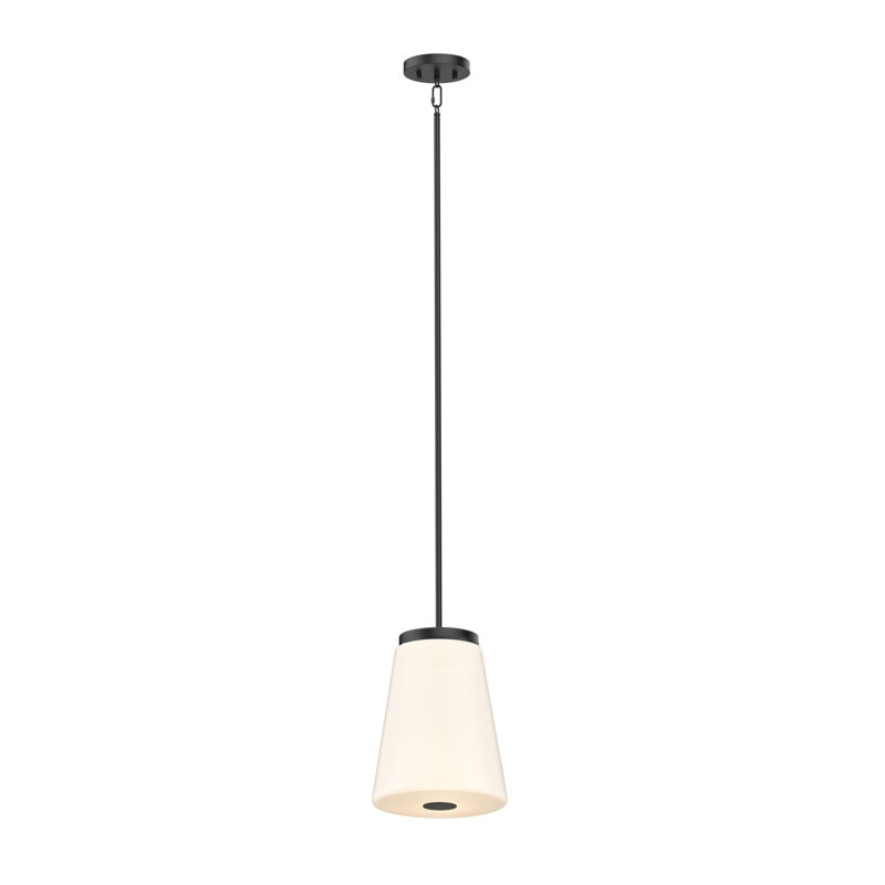 Luminaire suspendu 1 lumière Parid, Nickel satiné