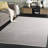 Platinum Performance Rug-908642630