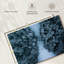 Pins recouverts de neige Alvord-111833600