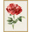 Ruby Floral 2 Print