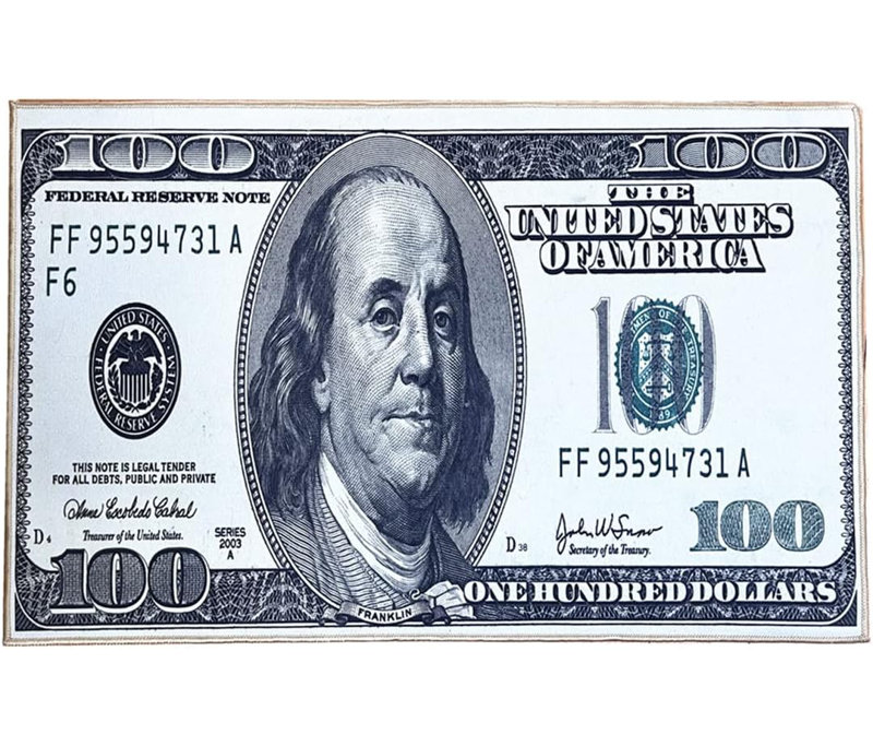 Money Rugs 100 Dollar Bill Runner Area Rug for Living Room Kitchen Rug Laundry Runner (Original)