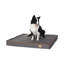 Lit pour chien Pillow-60530310