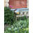 Carstarphen Weather Resistant Landscape & Nature Gazing Ball-788931720