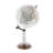 Educational/Geographic Earth Globe