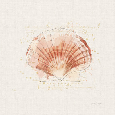 " Shell Collector IV " by Katie Pertiet Painting Print