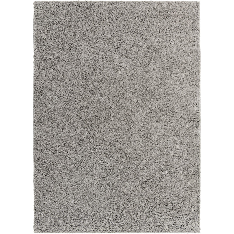 Tapis à poils longs Ashmita couleur pierre, Rectangle 9 pi x 12 pi