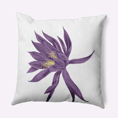 Cuban Flare Outdoor Square Pillow Cover & Insert