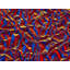 Aluminium Foil Print by Philippe Monthoux-65782141-65782142