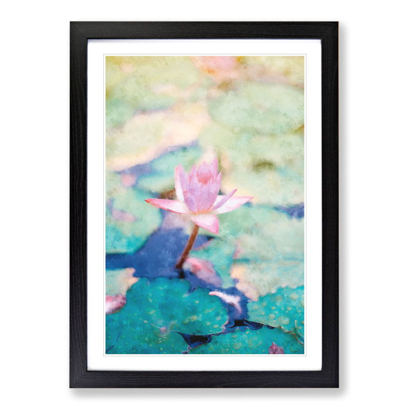 Pale Pink Water Lily - Framed Print, 65cm H x 48cm W x 2cm D, Black Framed