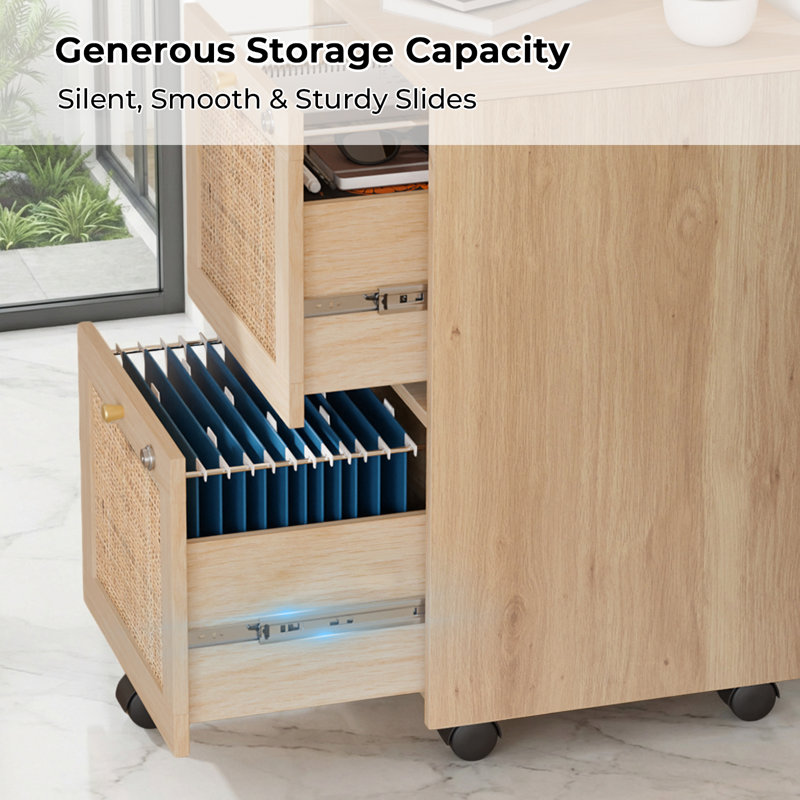 Aristeidis 15.75'' Wide 2 -Drawer Mobile File Cabinet