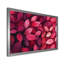 Jaceyon - Floral Large Wall Art-2059290307-2059290316-1948146437