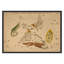 Lacerta Print by Grand Archives-1767440277-1767440276
