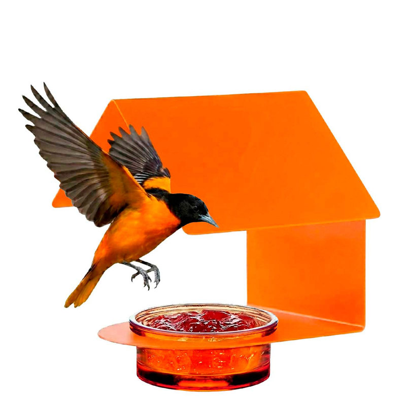 Mangeoire d’oiseaux à plateau diederike, Orange