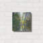 «Wooded Pond» par John Rufo-147457383