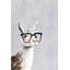 Smart Llama III - Wrapped Canvas Painting-34927226