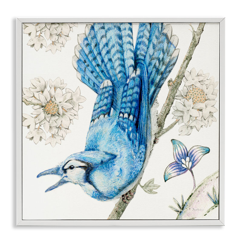 «Blue Jay Perché Florals», art de la giclée encadrée par Evelia Designs, Estampe numérique encadrée blanc bord de mer