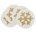 White/Gold